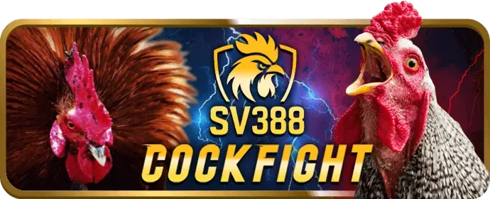 Hỗ trợ qua Email vwin88 casino